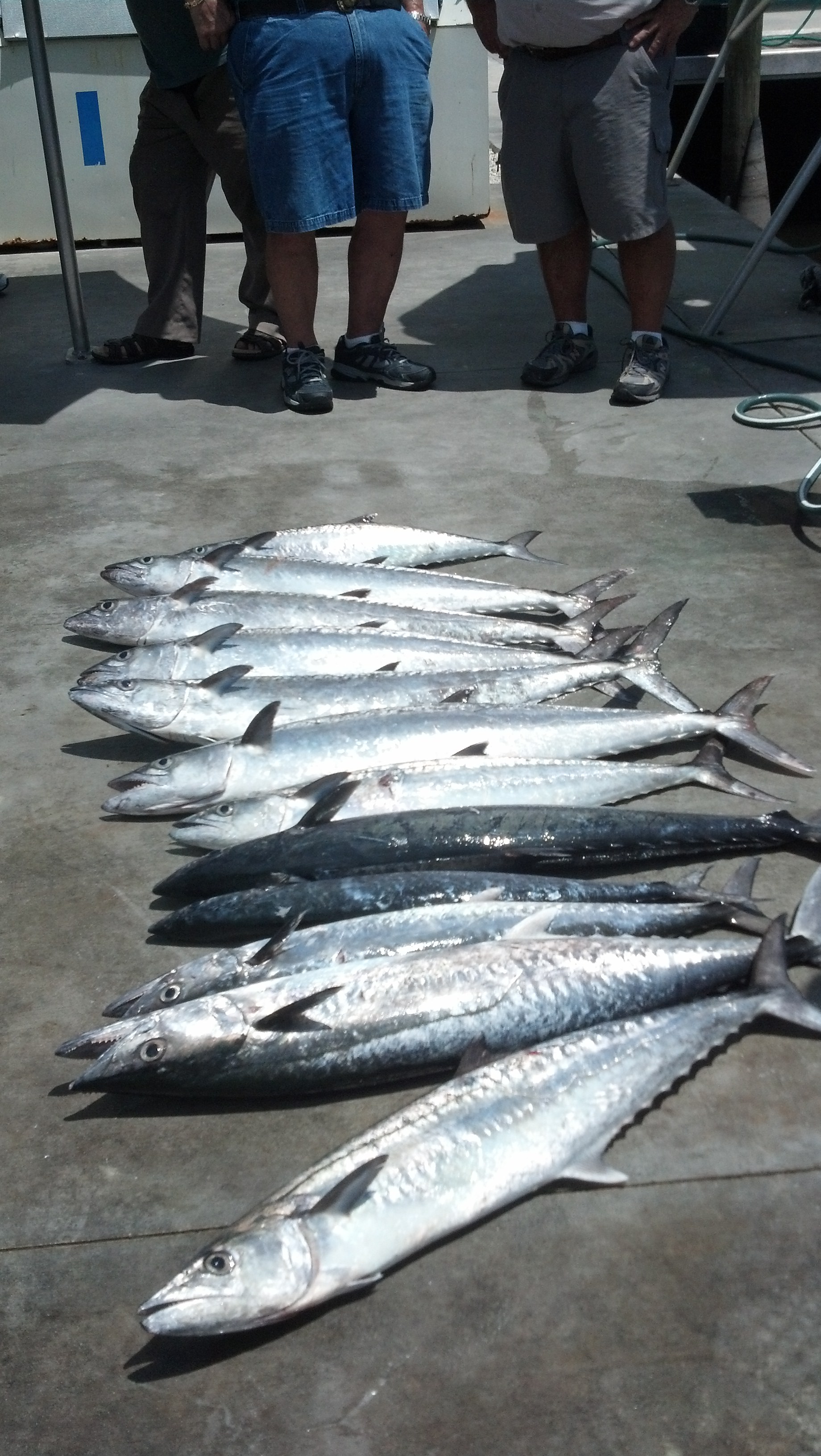 WEDNESDAY, MAY 7, 2014 8AM-12NOON KING MACKEREL, WEDNESDAY, MAY 7, 2014 8AM-12NOON